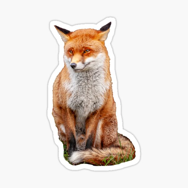 Item preview,  Foxy Lady Sat Waiting  designed and sold by OwlOccasions.