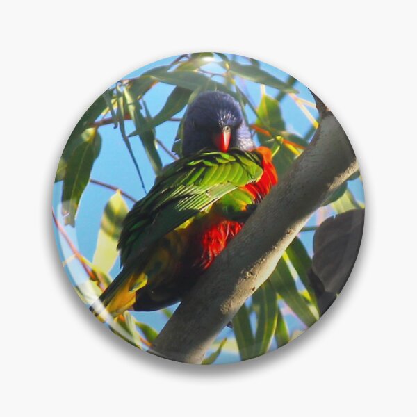 Item preview, Rainbow lorikeet designed and sold by AHELENE.