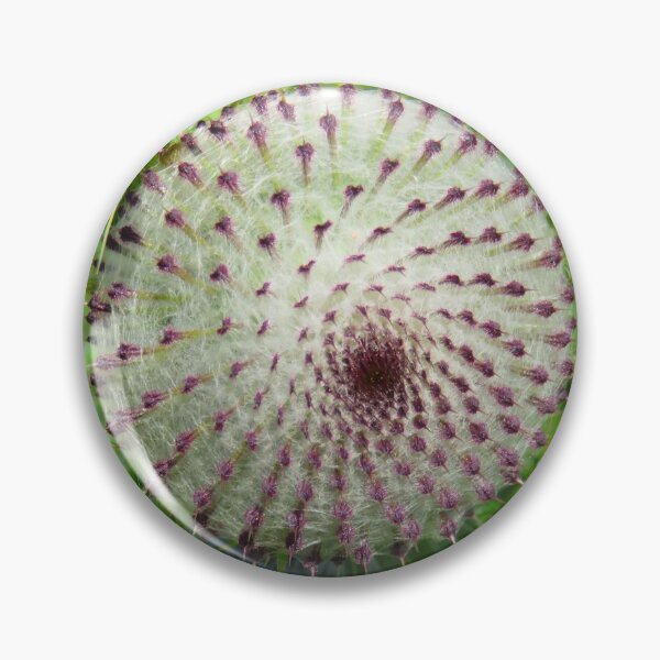 Item preview, Cirsium eriophorum designed and sold by AHELENE.