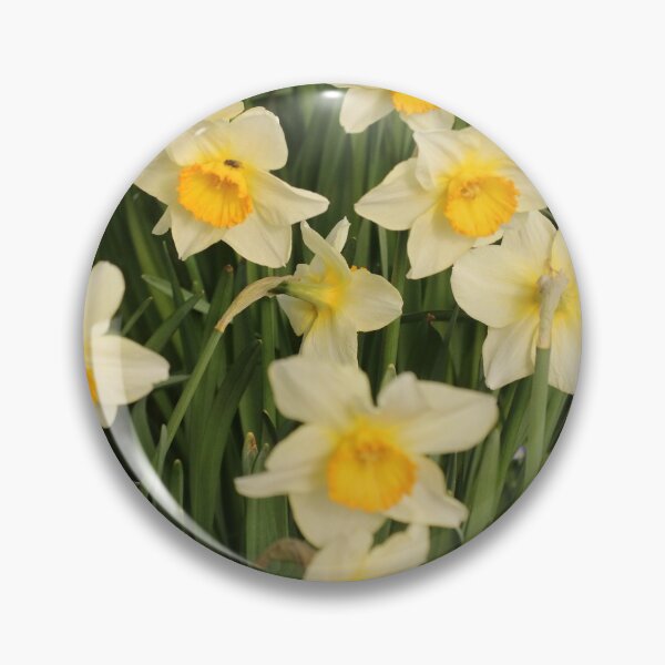 Item preview, Nature, Flowers, Daffodil, Photography, BebiCervin designed and sold by BebiCervin.