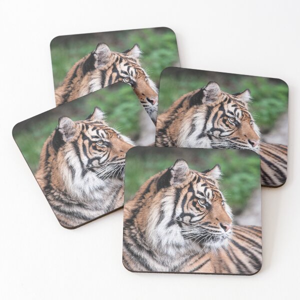 Item preview, Tiger Portrait Photography designed and sold by NatashaBalletta.