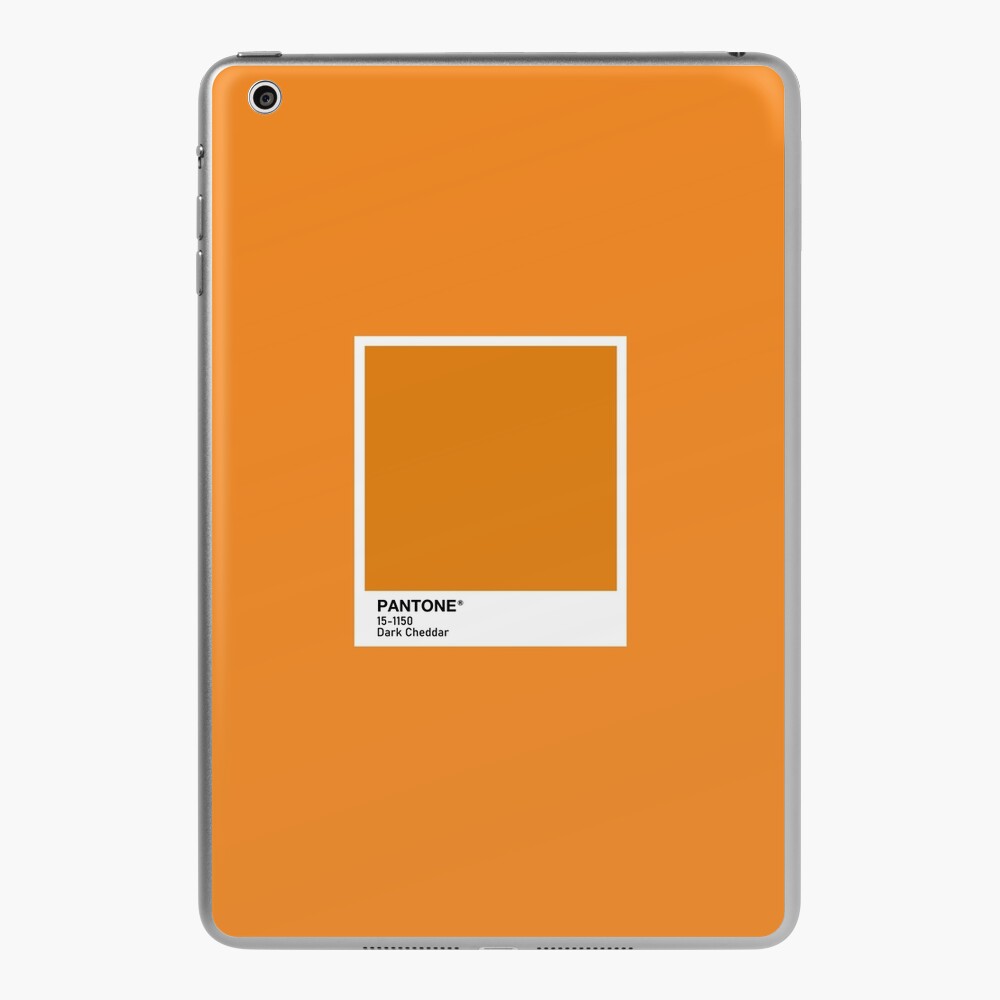 Pantone Canyon Rose iPad Case & Skin for Sale by scultura