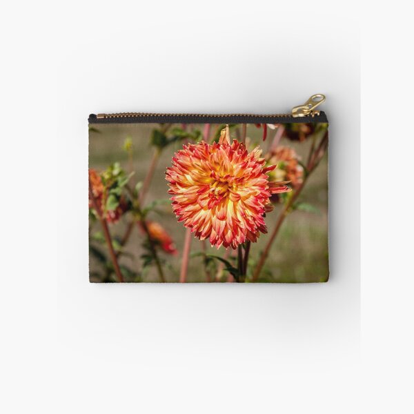 Item preview, Dahlia designed and sold by PhotosByHealy.