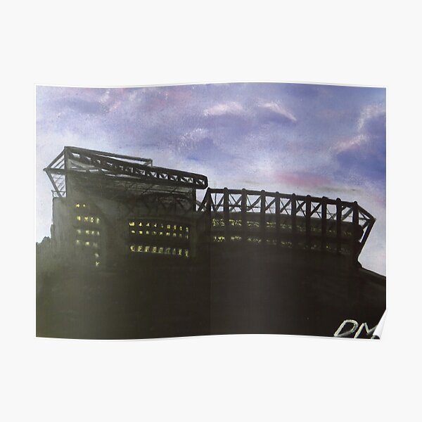 Fortress Strong - St James' Park - SCENESCAPESHOP Poster