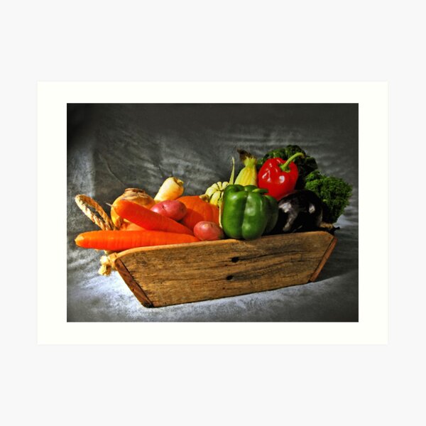 Vegetable Basket Sketch Art Print