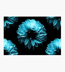Flowers Blue Photographic Print