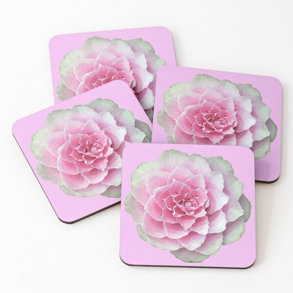 Item preview, Pink camellia designed and sold by MarieClaude1954.