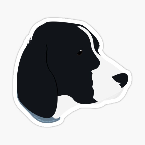 English Springer Spaniel Sticker