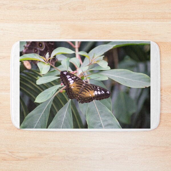 Item preview, ali storytime butterfly designed and sold by pcfyi.