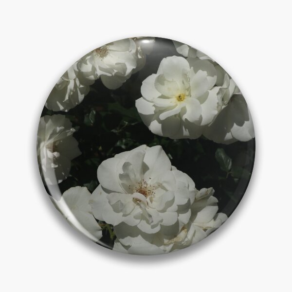 Item preview, Nature, flower, roses, white, photography, BebiCervin designed and sold by BebiCervin.