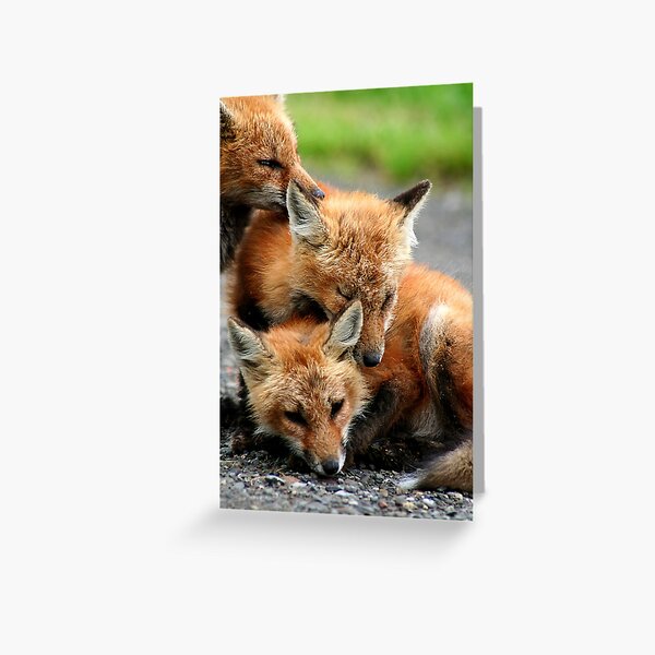 Item preview,  RED FOX DREAMING designed and sold by REDREAMER.