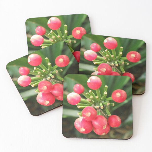 Item preview, Africa, South Africa, Berries, Red, Photography, BebiCervin designed and sold by BebiCervin.