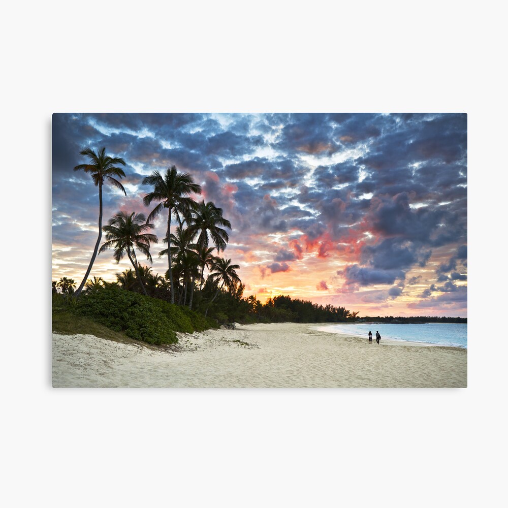 Tropical Caribbean White Sand Beach Paradise At Sunset Poster By Daveallenphoto Redbubble