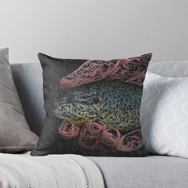 Item preview, Sunfish in Hand. designed and sold by PrintArtdotUS.