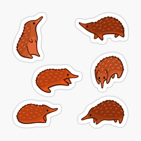 Item preview, Echidna Beans designed and sold by Macbendigo.