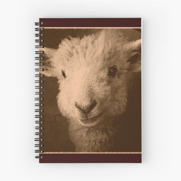 Item preview, REDREAMING LAMB 2 designed and sold by REDREAMER.