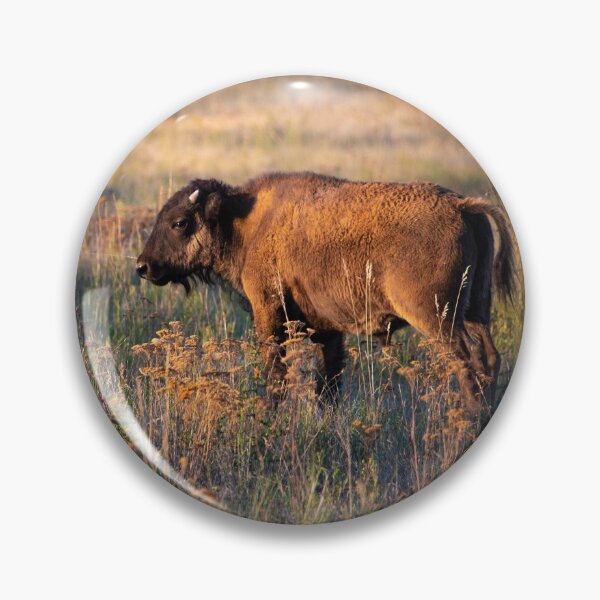 Item preview, Buffalo designed and sold by FunParlor.