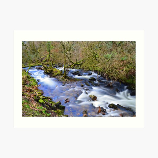 Dartmoor: The River Taw in Belstone Cleave Art Print