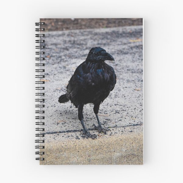 Item preview, Crow designed and sold by FunParlor.