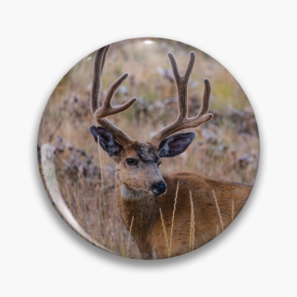 Item preview, Deer designed and sold by FunParlor.