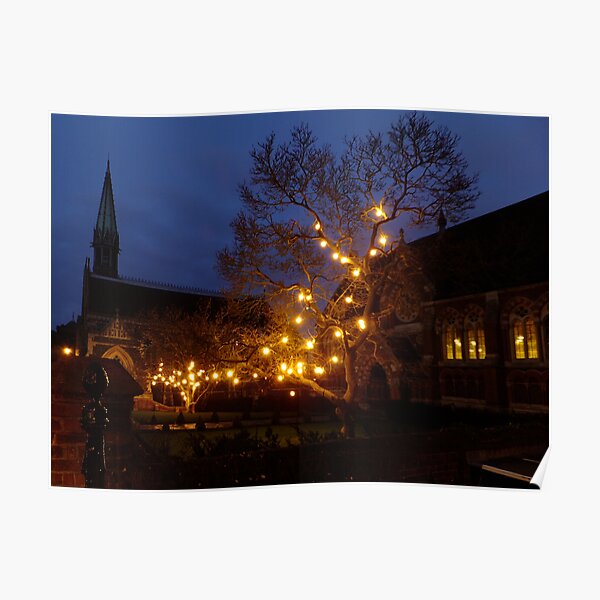 Christmas Lights at St. Mary's Poster
