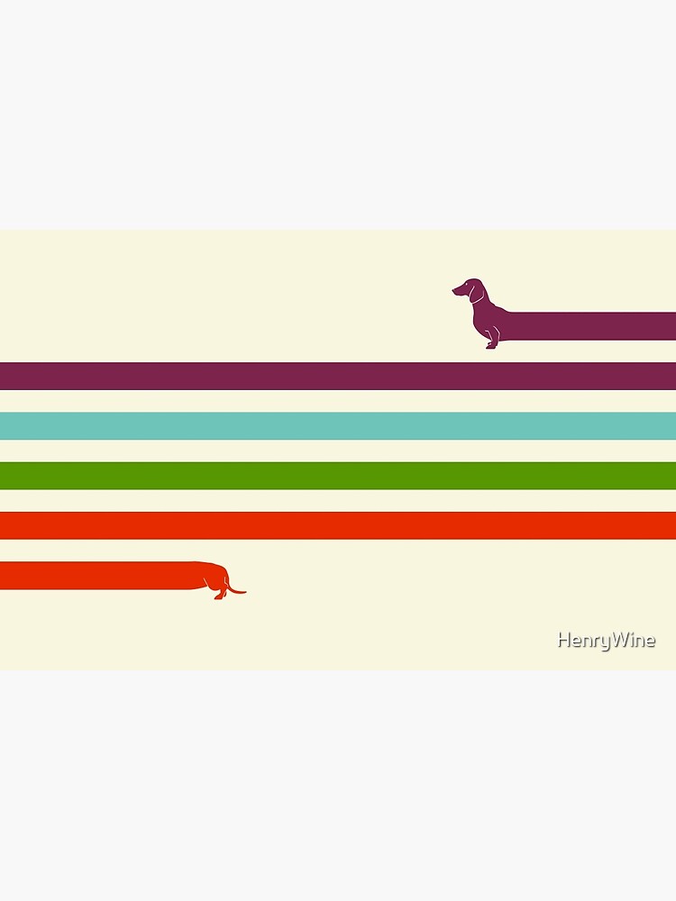(Very) Long Dachshund by HenryWine