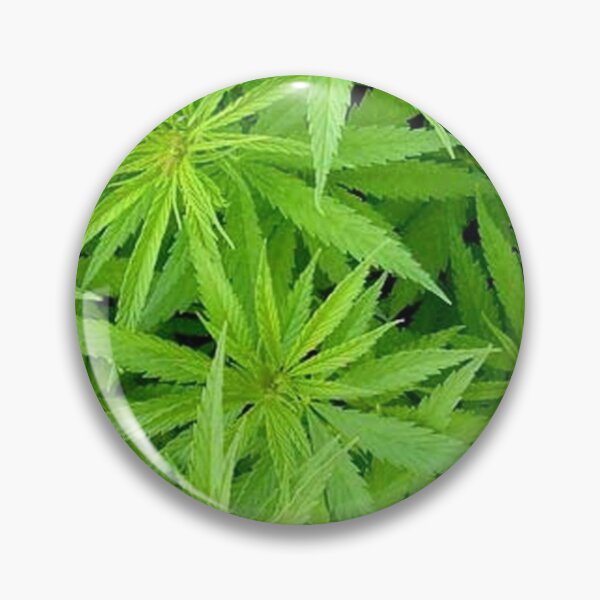 Item preview, Can you identify this plant? designed and sold by danastuff.