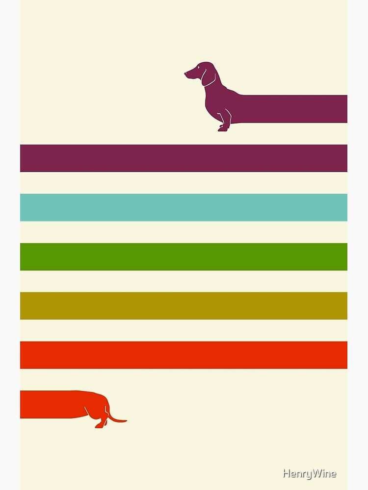(Very) Long Dachshund by HenryWine