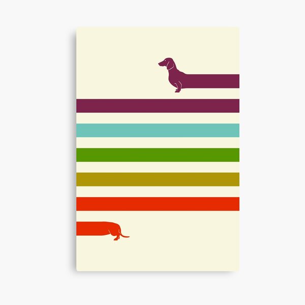 (Very) Long Dachshund Canvas Print