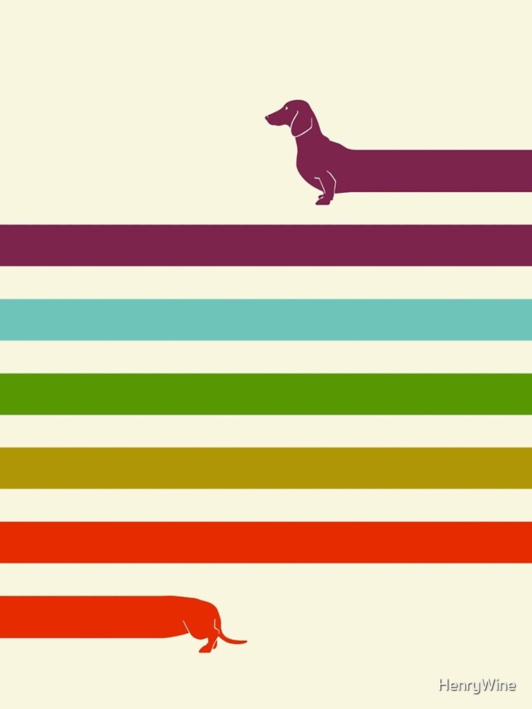 (Very) Long Dachshund by HenryWine