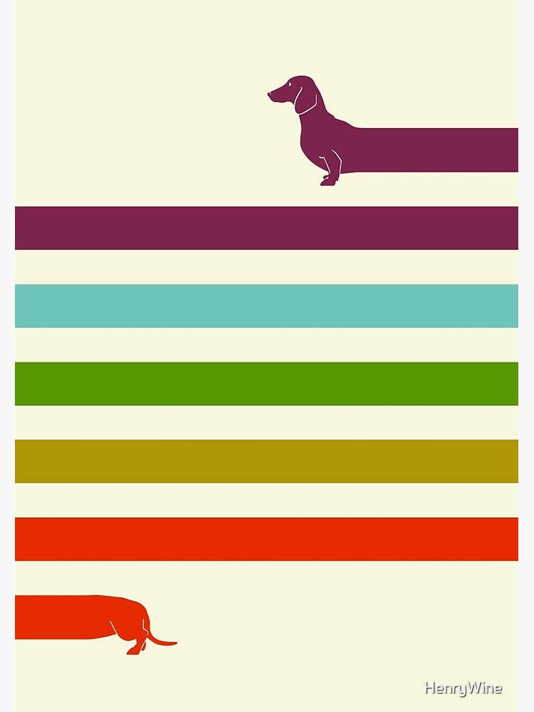 (Very) Long Dachshund by HenryWine