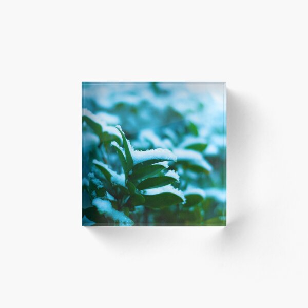 Snow on Leaves Acrylic Block