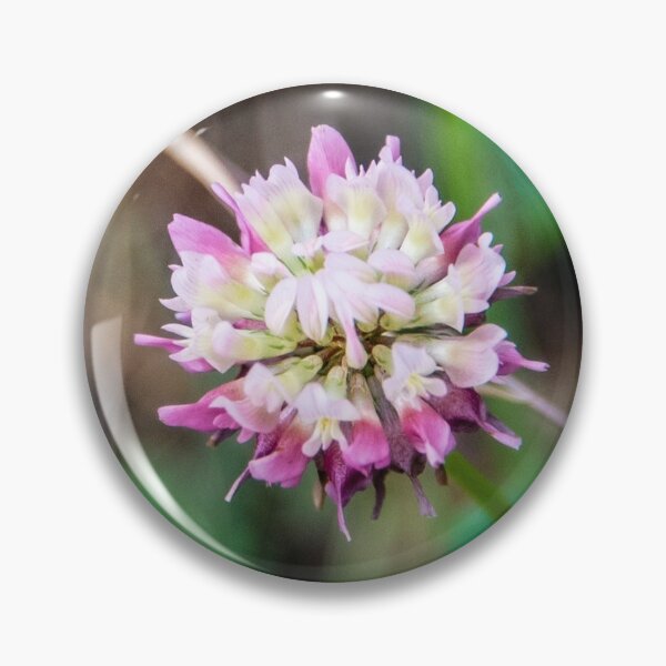 Item preview, Floración designed and sold by FunParlor.