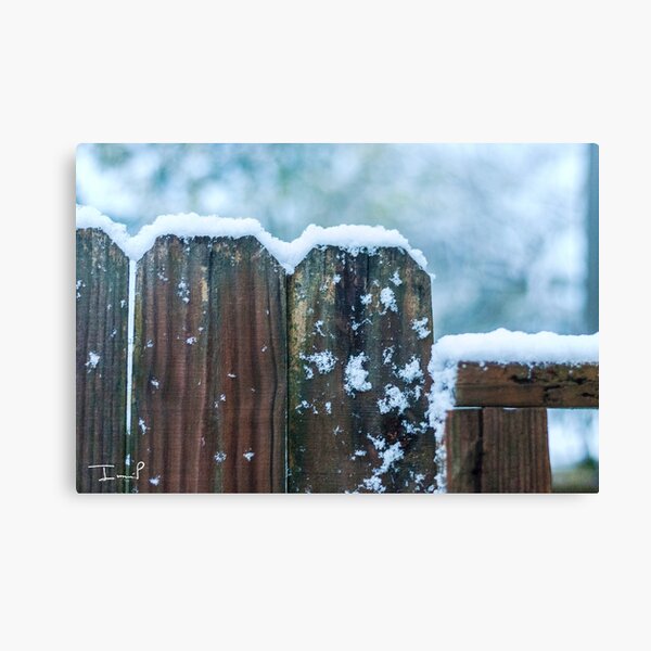 Snow on Fence Canvas Print
