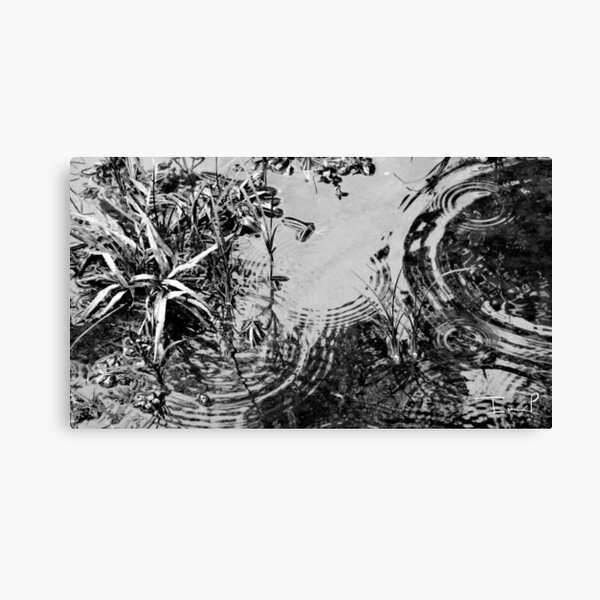 Backyard Puddles Canvas Print