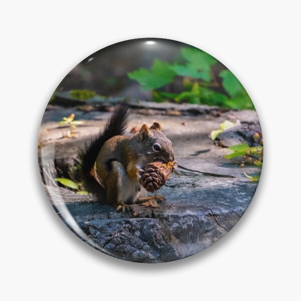 Item preview, Little Squirrel  friend designed and sold by FunParlor.