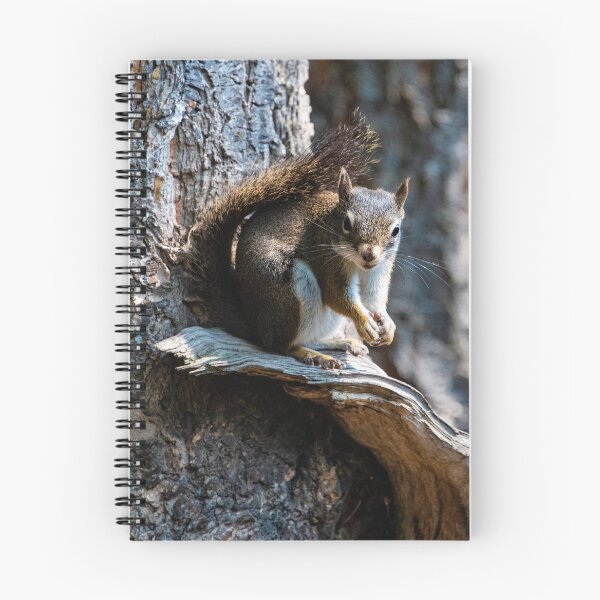 Item preview, Little Squirrel  friend designed and sold by FunParlor.