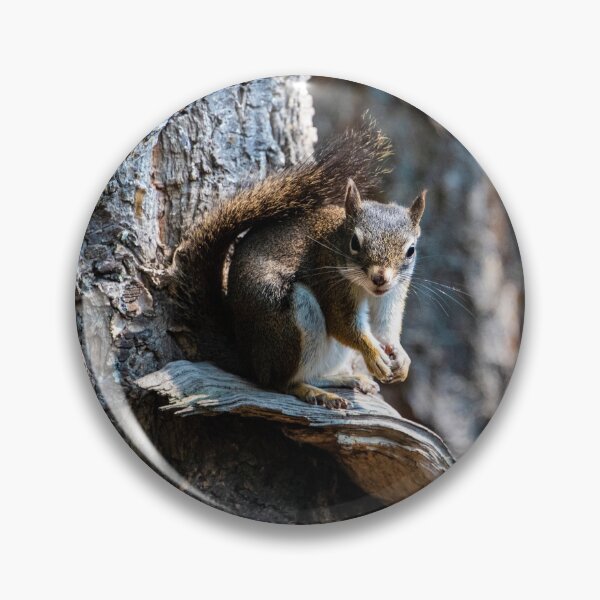 Item preview, Little Squirrel  friend designed and sold by FunParlor.