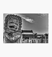 Protection Photographic Print