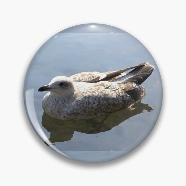 Item preview, Young Common Gull designed and sold by MidnightHoots.