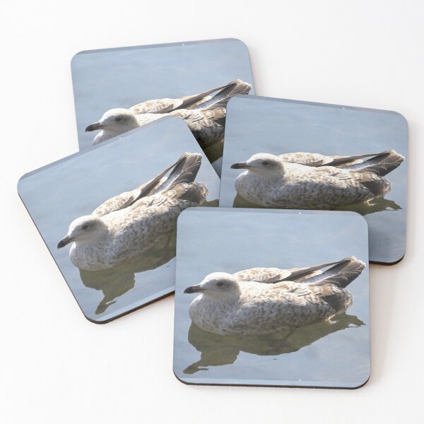 Item preview, Young Common Gull designed and sold by MidnightHoots.