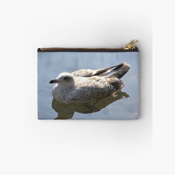 Item preview, Young Common Gull designed and sold by MidnightHoots.