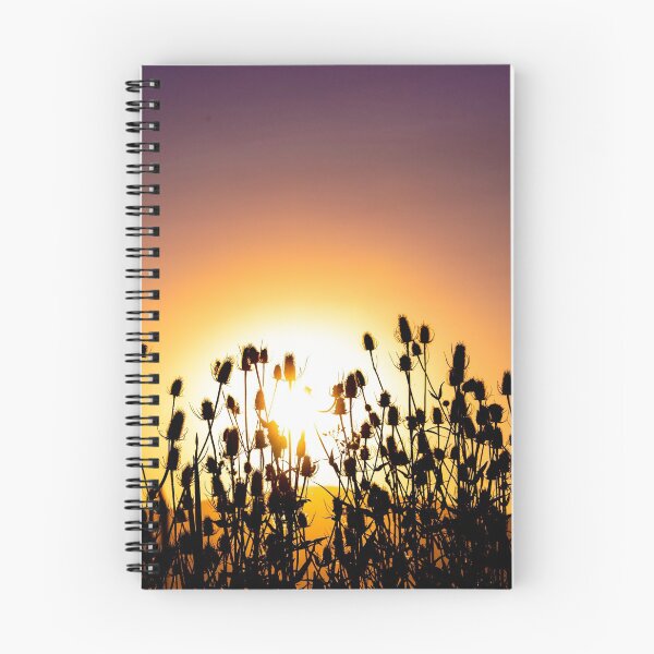 Item preview, Cardo Atardecer designed and sold by FunParlor.