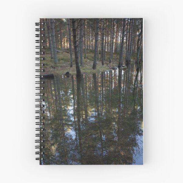 Item preview, reflection perfection, cambus o'may designed and sold by codaimages.