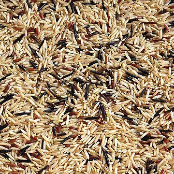 Artwork thumbnail, Wild Rice by pinkal