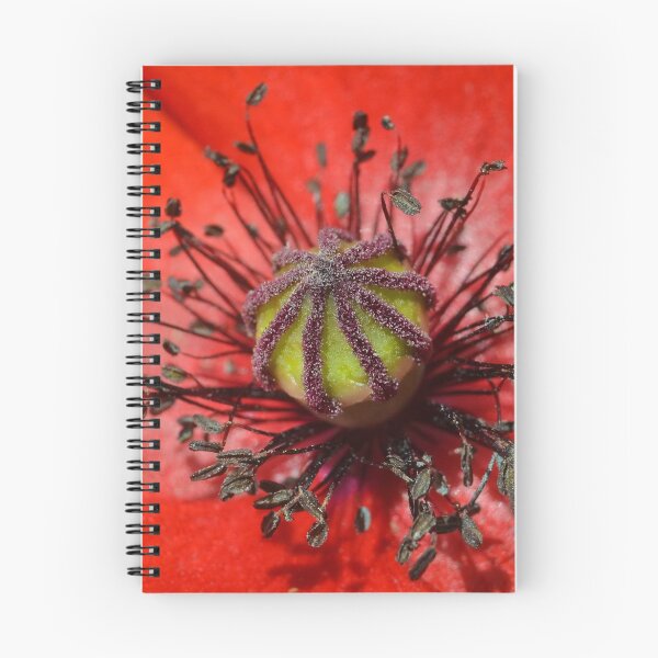 Item preview, Poppy Stamens  designed and sold by relayer51.