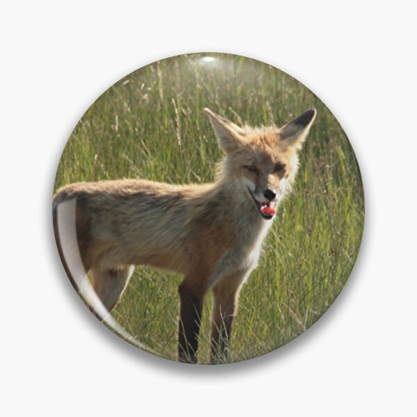 Item preview, Fox designed and sold by stephenralph.