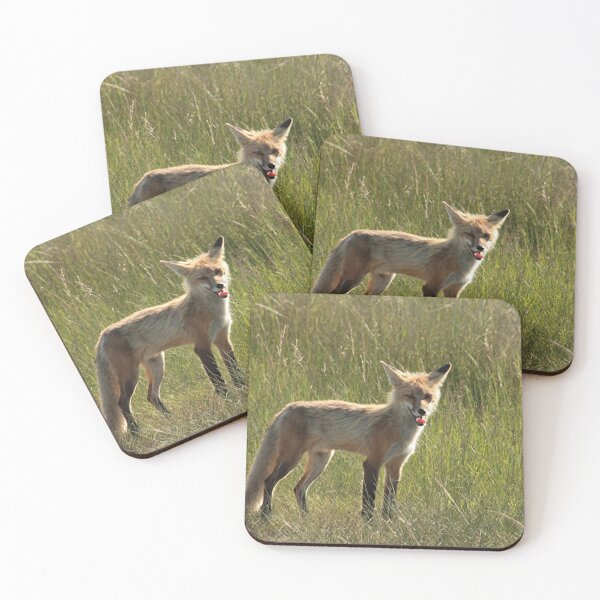 Item preview, Fox designed and sold by stephenralph.