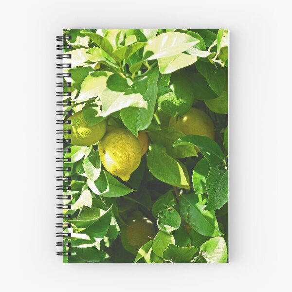 Item preview, BEAUTIFUL RIPE YELLOW LEMONS IN THE SUN designed and sold by JAYMILO.