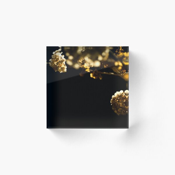 Flowers in the Night Acrylic Block
